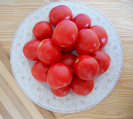 A pile of tomatoes for sauce.