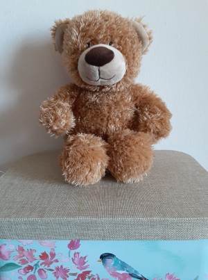 A tan stuffed bear.
