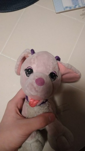 A small pink stuffed dog.