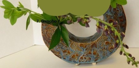 A plant in an arrangement.