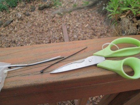 Scissors and cable ties for the topiary project.