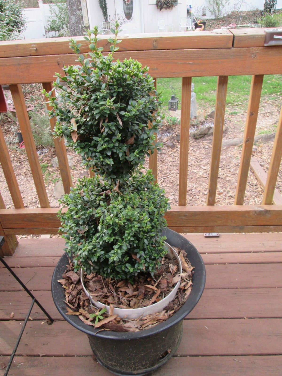 Homemade Topiary ThriftyFun