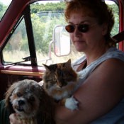 A dog and a cat in a truck with a woman.
