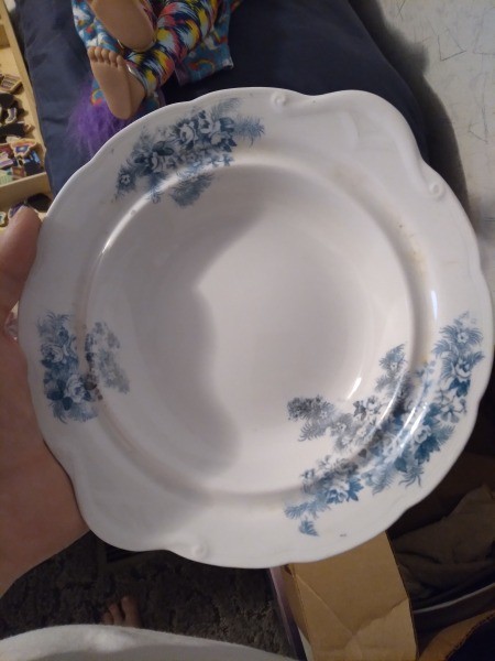 A china plate with blue flowers.