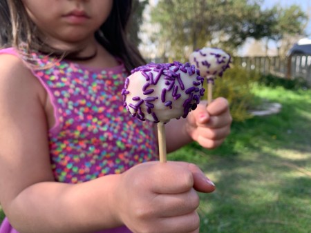 Make Cake Pops From Leftover Cake