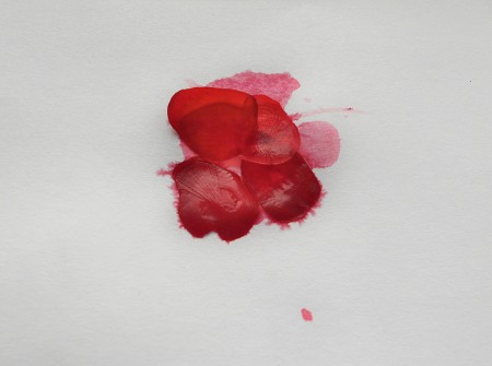 The red dyed fish scales.