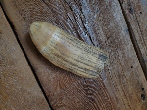 An old whale's tooth on a wood surface.