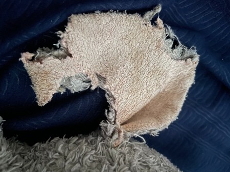 A torn ear on a stuffed elephant.