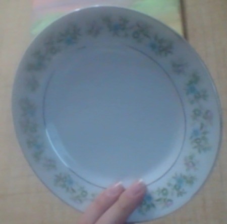 A china plate with flower around the rim.