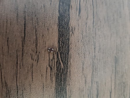 A small brown/black bug.