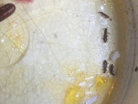 Critters in Crevices in Bedroom?