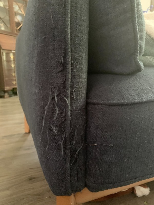 Fix cat outlet scratches on couch