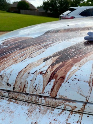 Stain that has been dumped on a truck hood.