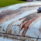 Stain that has been dumped on a truck hood.