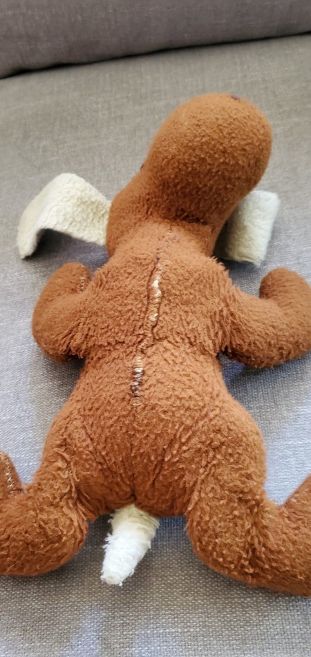 small stuffed dog