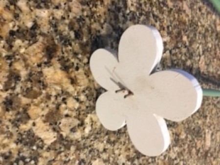 Close up of the daisy flowers.