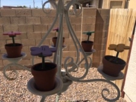 Adding the flowers to the terra cotta pots.