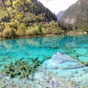 A beautiful scene from Jiuzhaigou, China.