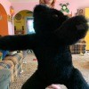 A stuffed black bear.