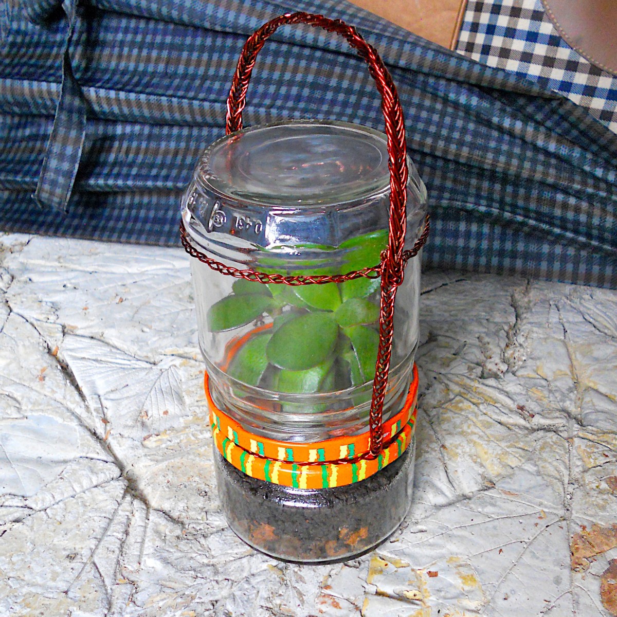 portable terrarium