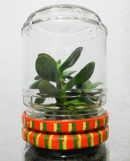 A small terrarium made from glass jars.