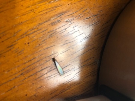 A small bug with long wings.