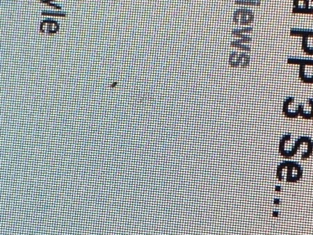A tiny bug on a computer screen.