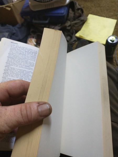 Blank pages in a dictionary.