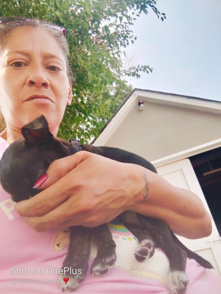A woman holding a sick puppy.
