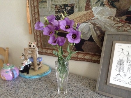 A bouquet of Texas bluebells in a vase.