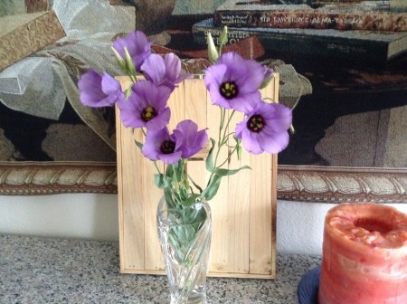 A bouquet of Texas bluebells in a vase.