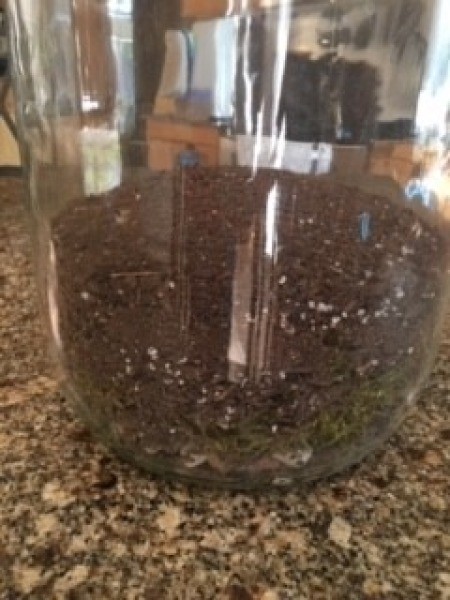 Dirt added to the five gallon jug.