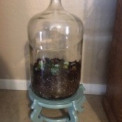 The completed five gallon terrarium.