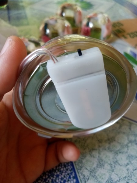 Placing battery operated fairy lights.