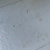 Very small bugs on a tile floor.
