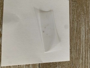 A bug on a piece of tape.
