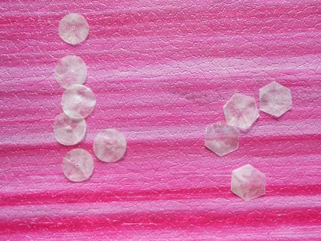 A collection of fish scales with holes in the middle.