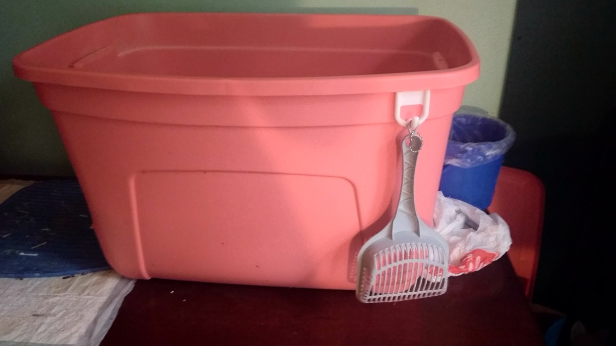Cat Litter Box Tip | ThriftyFun
