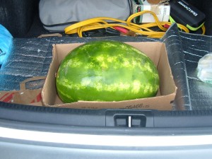 A box holding a watermelon in a trunk.