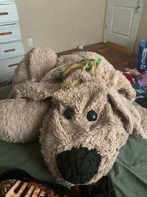 habitat for humanity stuffed dog