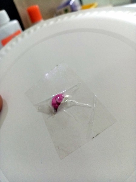 Taping the hands on the back.