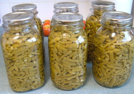 A collection of canned beans.