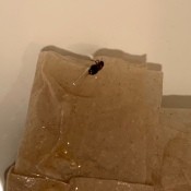 A bug on a piece of paper.