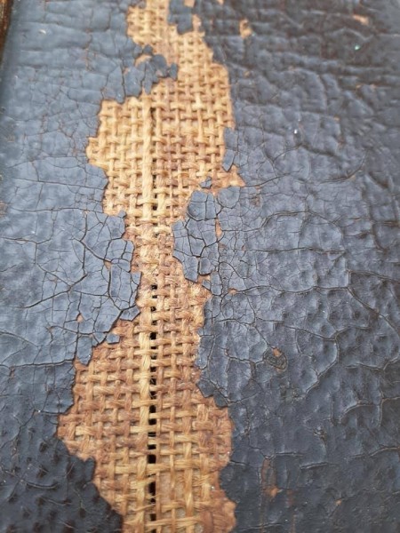 Damage on the finish of the trunk.