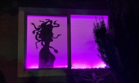 The silhouette with purple lights.