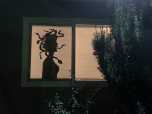 The Medusa Silhouette.