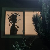 The Medusa Silhouette.