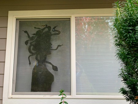 The silhouette with blinds behind.