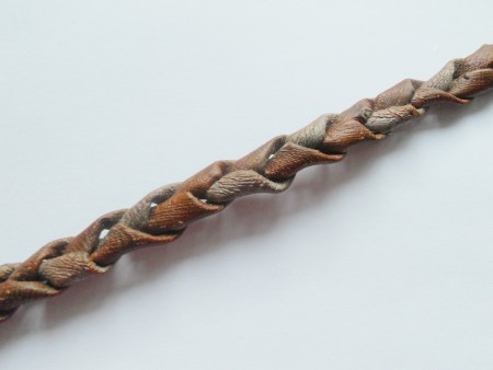 The bark braided into a length.