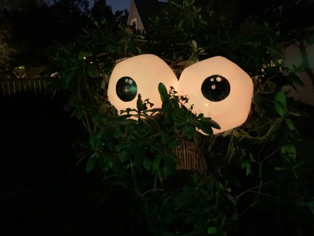 The glowing tree eyes in the dark.